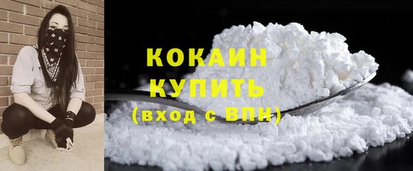 первитин Няндома
