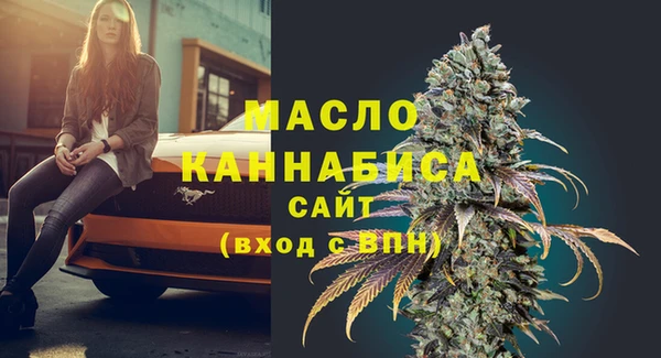 первитин Няндома
