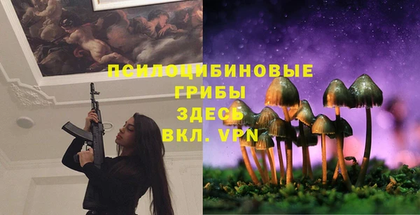 первитин Няндома