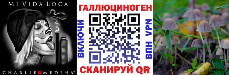 гидра вход Сертолово Псилоцибиновые грибы Psilocybe