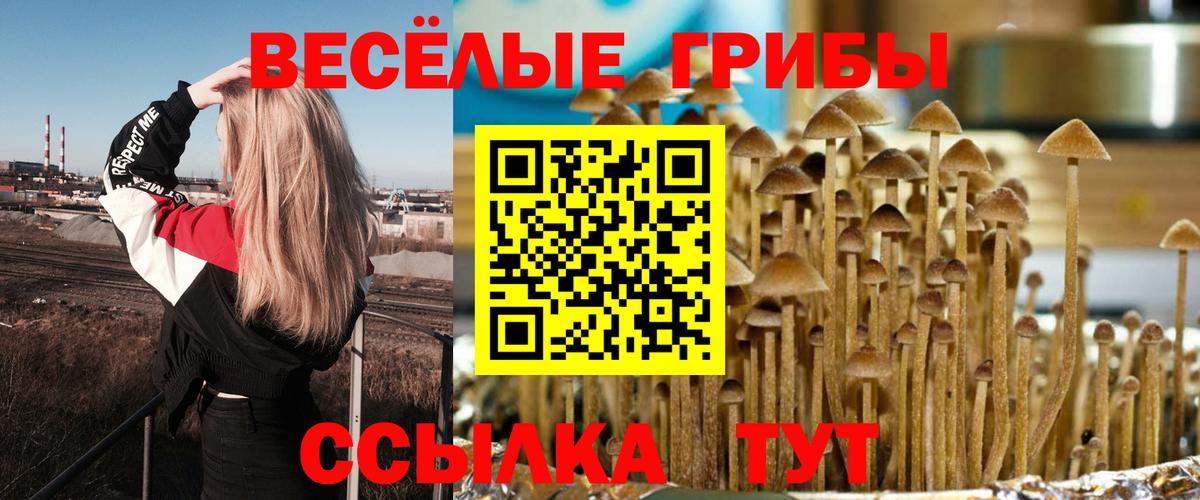Сертолово  Галлюциногенные грибы MAGIC MUSHROOMS  Вход с VPN  Псилоцибиновые грибы MAGIC MUSHROOMS 