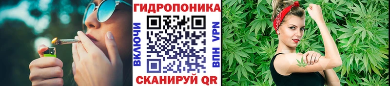 Конопля THC 21%  где можно купить наркотик  Сертолово 