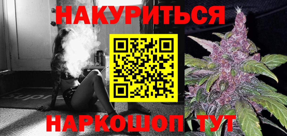 Бошки Шишки планчик Сертолово